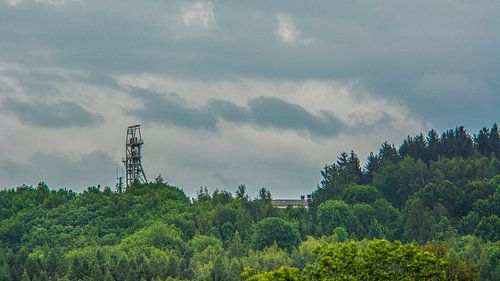 bosbloemenveld landschap Erzgebirge paddestoelen