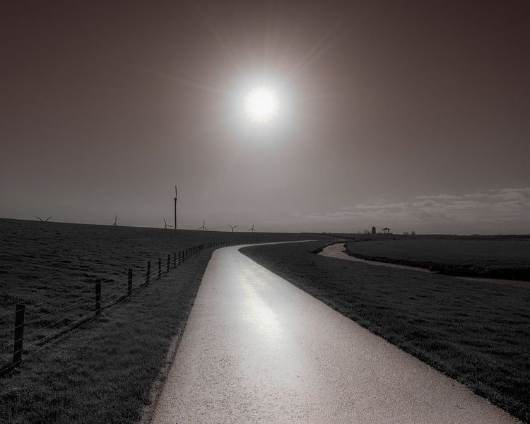 Road along the Noorderleegdijk in the backlight by Harrie Muis