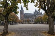 St John's Cathedral with chestnut trees in autumn colors by Sander Groffen thumbnail