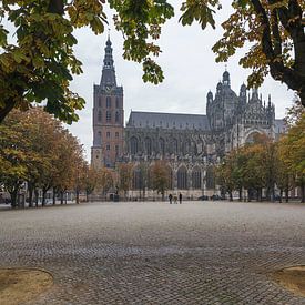 Die St. Johannes-Kathedrale in Herzogenbusch von Sander Groffen