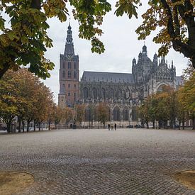 St John's Cathedral with chestnut trees in autumn colors by Sander Groffen