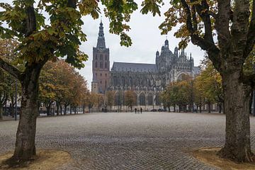 St John's Cathedral with chestnut trees in autumn colors by Sander Groffen