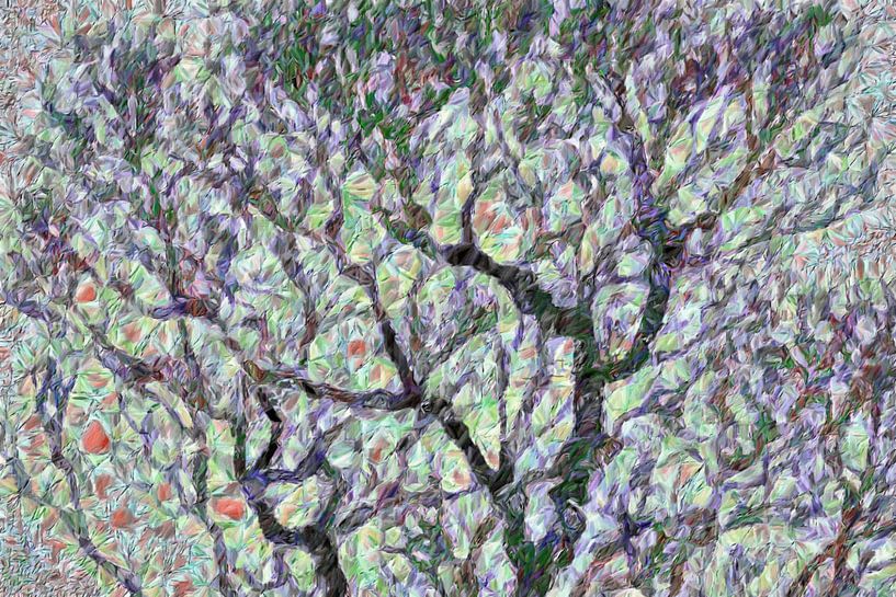 Des arbres dans les champs avec des coquelicots par Anna Marie de Klerk