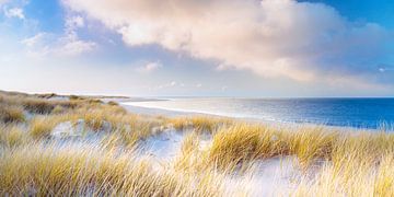 Dünen und das Meer (Nordseeküste, Sylt) von Sascha Kilmer