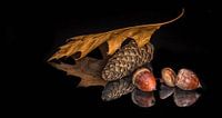 Herfst