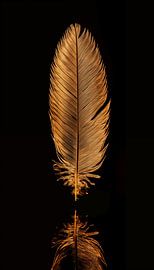 Golden feather portrait standing panorama by TheXclusive Art