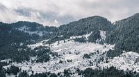 Grieks winterlandschap bij Metsovo I van Teun Ruijters thumbnail