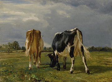 Kühe auf einer Weide, Constant Troyon