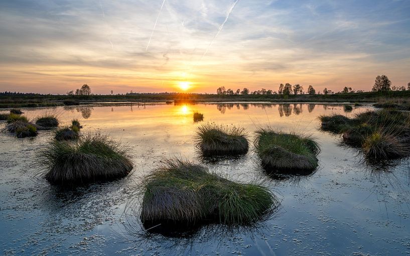 Brackvenn, Hohes Venn, Belgien von Alexander Ludwig