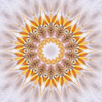 Mandala in soft colours