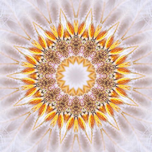 Mandala in zachte kleuren