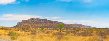 Panorama of pristine nature in Namibia