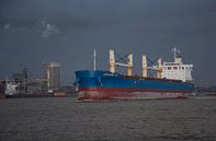 Vrachtschip onderweg naar zee vanaf de zeesluis IJmuiden van scheepskijkerhavenfotografie thumbnail