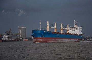 Vrachtschip onderweg naar zee vanaf de zeesluis IJmuiden van scheepskijkerhavenfotografie