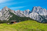 Blick auf die Litzlalm mit Hütte in den Alpen in Österreich von Rico Ködder Miniaturansicht