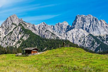 Blick auf die Litzlalm mit Hütte in den Alpen in Österreich