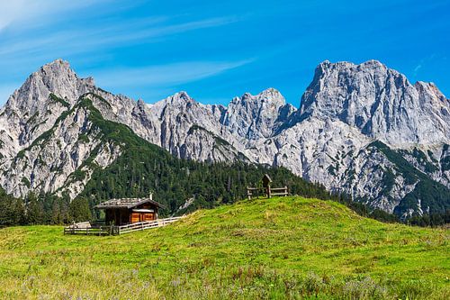 View of the Litzlalm with hut in the Alps in Austria