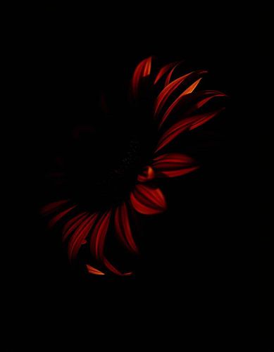Ember Sun V
