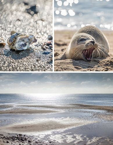 Dromen van de zee: Waddenzee op Sylt van Christian Müringer