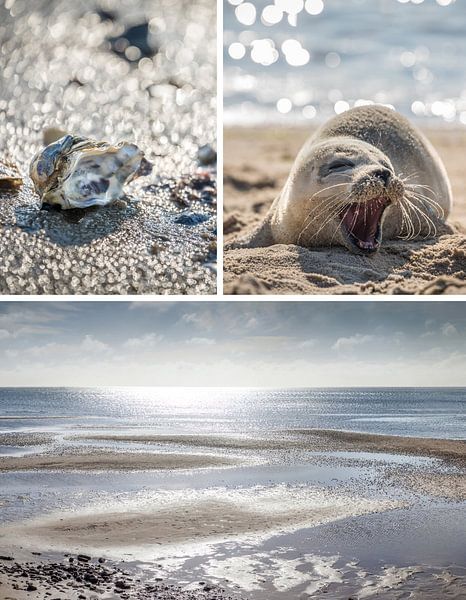 Träume vom Meer: Wattenmeer auf Sylt von Christian Müringer