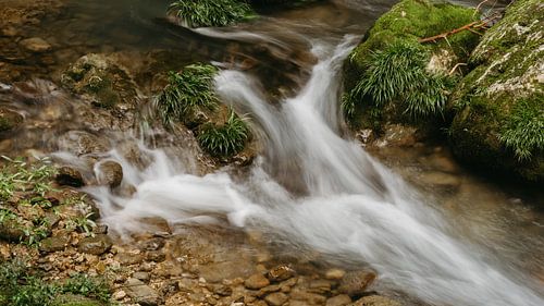 Weich fließendes Bergwasser im Zhangjiajie National Forest Park, Hunan, China.