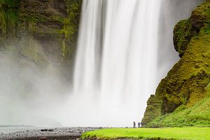 Mens en natuur van Denis Feiner