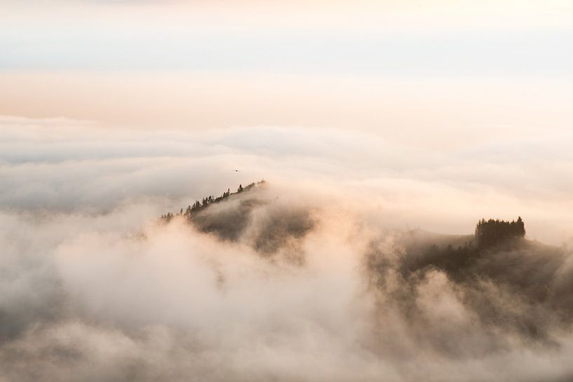 Mystical mists by Lorant Petrik