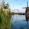 De windmolens in Kinderdijk van Henk Van Nunen Fotografie