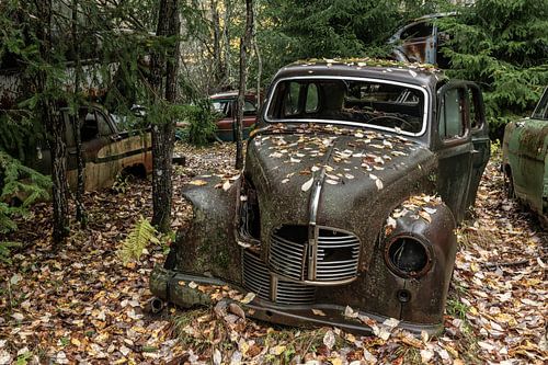 De schoonheid van het verval XIII