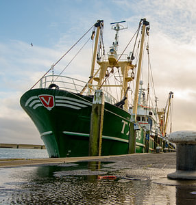 Fischereihafen Oudeschild Texel