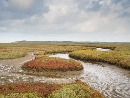De Slufter, Texel