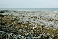Côte de l'Irlande