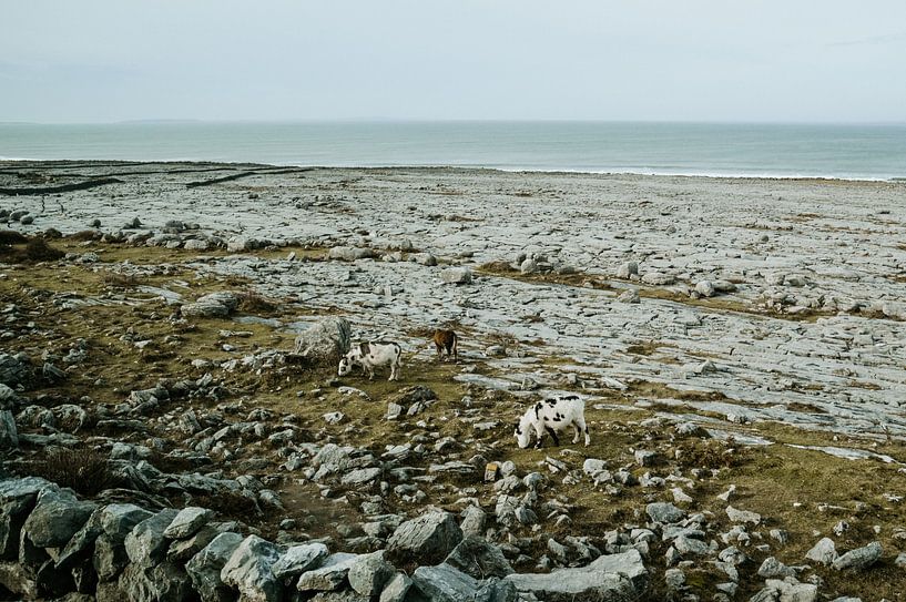 Côte de l'Irlande par Joke De Nef