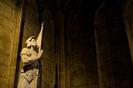 Notre-Dame Parijs - 3 van Damien Franscoise thumbnail