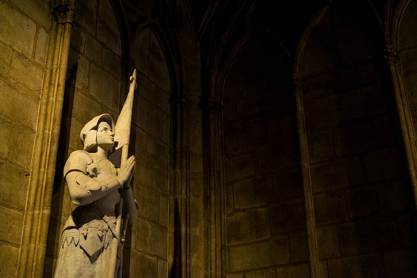 Notre-Dame Paris - 3 von Damien Franscoise