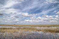 Florida IV van Michael Schulz-Dostal thumbnail