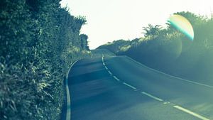 Smal weggetje in Devon, Engeland met zomerse vibes