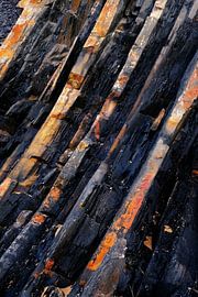 COLOR LINES von Marvin Schweer