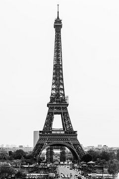 paris van Patrick Dreuning