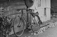 My Old Bicycle van Chris Moll thumbnail