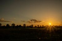 Earth may rest after summer corn field