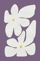 Fleur de narcisse blanc