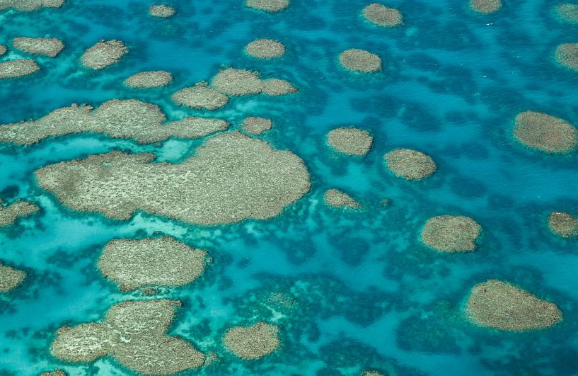 Great Barrier Reef von Robert Styppa