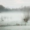 Nebel im Polder von Yvonne Blokland