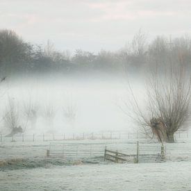 Mist in de polder van Yvonne Blokland