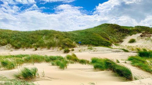 Dunes Pays-Bas