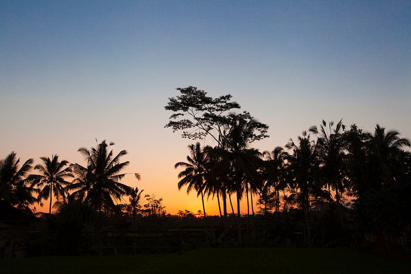 Silhouet van kokosnotenpalm in de zonsondergang van Bali van Tjeerd Kruse