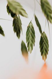 Kleine Blätter – Grün mit einem Hauch von Orange von Elise van Gils