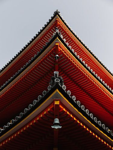 Morgenlicht auf einem Tempeldach in Kyoto