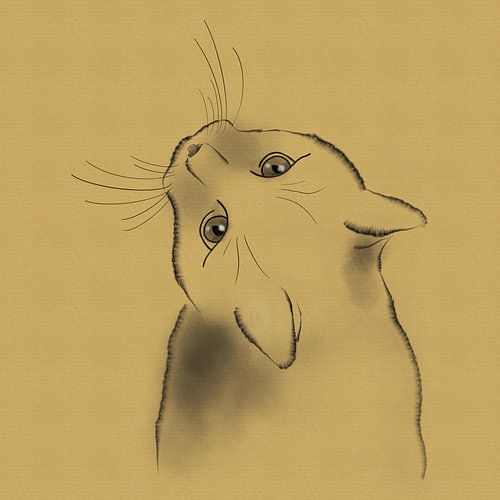 Federzeichnung Katze